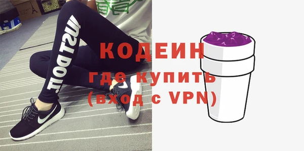 дживик Няндома