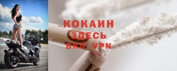 дживик Няндома