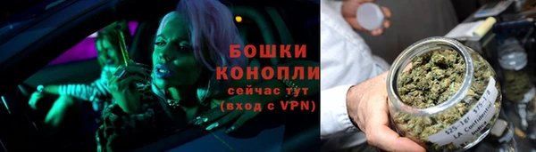 дживик Грязи