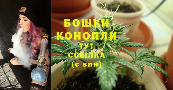 дживик Няндома