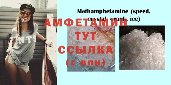 дживик Няндома