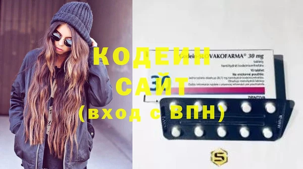 дживик Няндома