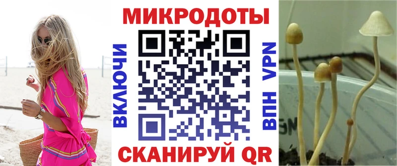 дарнет шоп  Россошь  Псилоцибиновые грибы прущие грибы 
