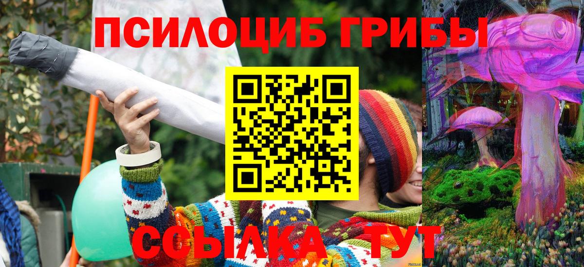 Псилоцибиновые грибы Psilocybine cubensis  Вход с VPN  Россошь 