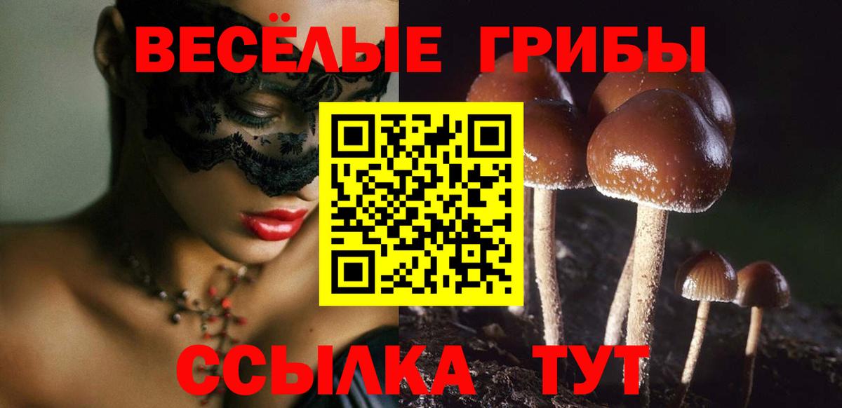 А ПВП Россошь